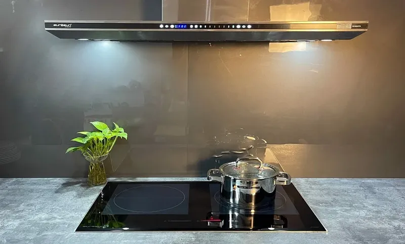 bếp từ Eurosun EU-T895GE 